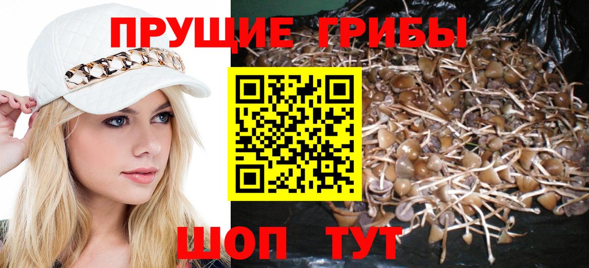 Кумертау  Псилоцибиновые грибы Magic Shrooms  Вход с VPN  Псилоцибиновые грибы Magic Shrooms 