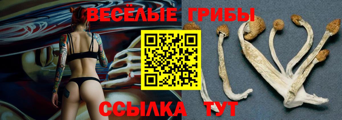 Псилоцибиновые грибы Magic Shrooms Кумертау